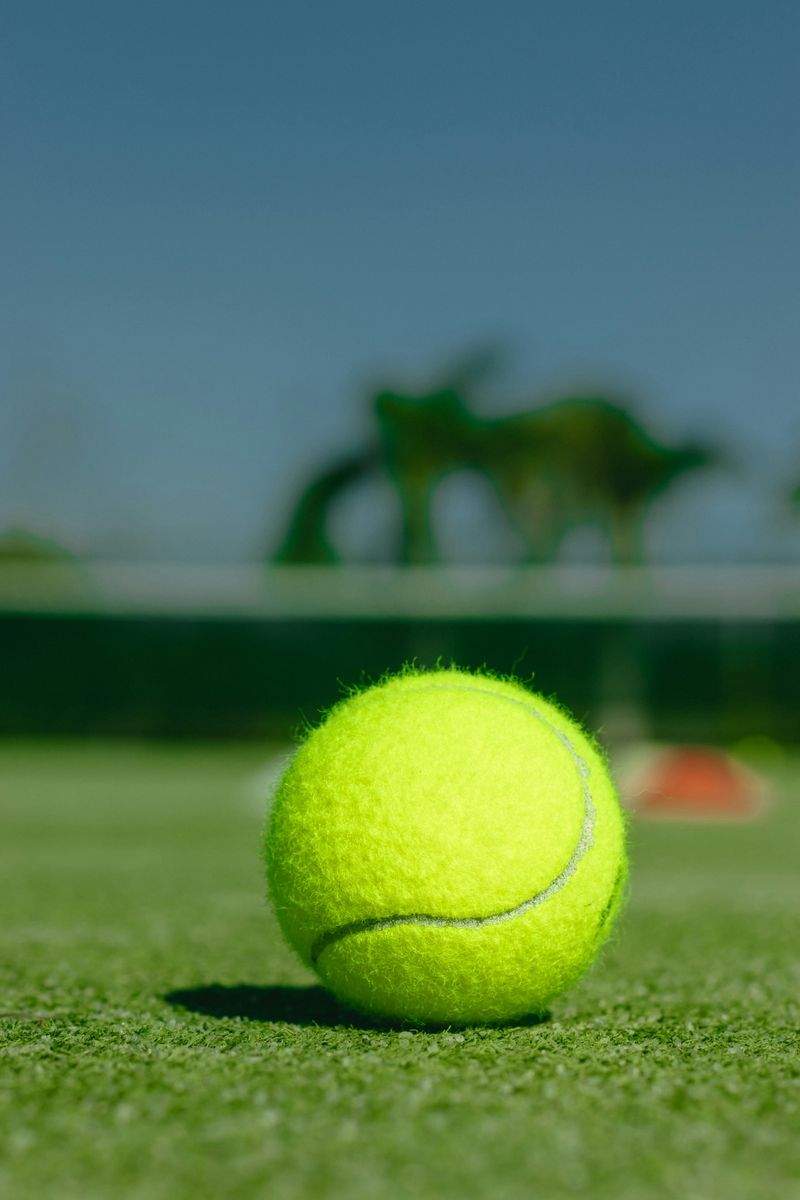 Maple Court Tennis Academy 6